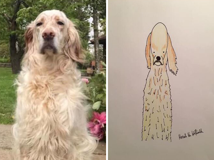 Pet Portraits Charity