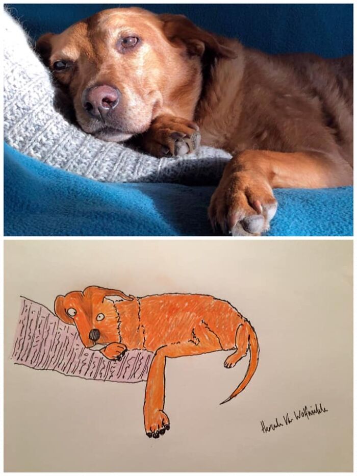 Pet Portraits Charity