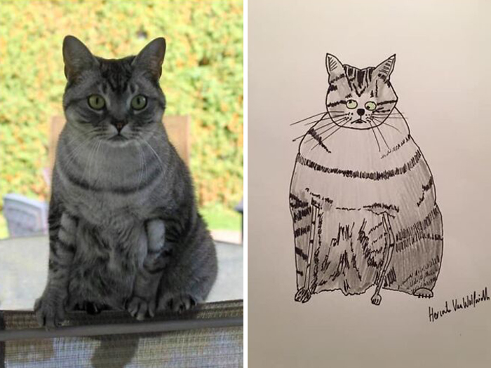 Pet Portraits Charity