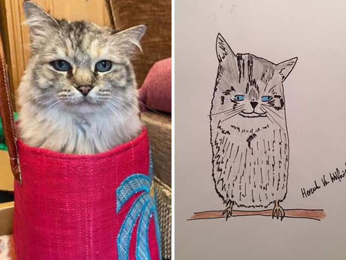 Pet Portraits Charity