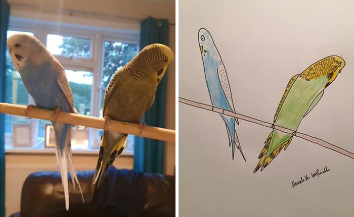 Pet Portraits Charity