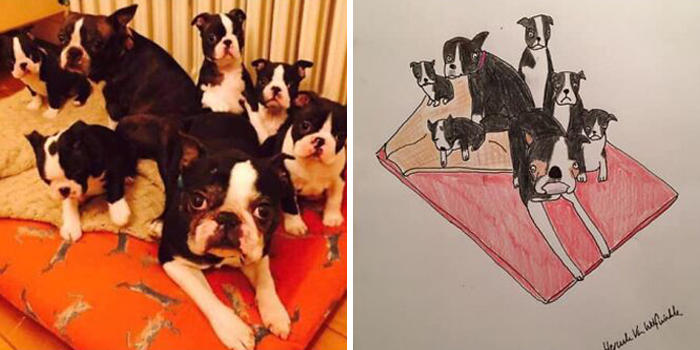 Pet Portraits Charity