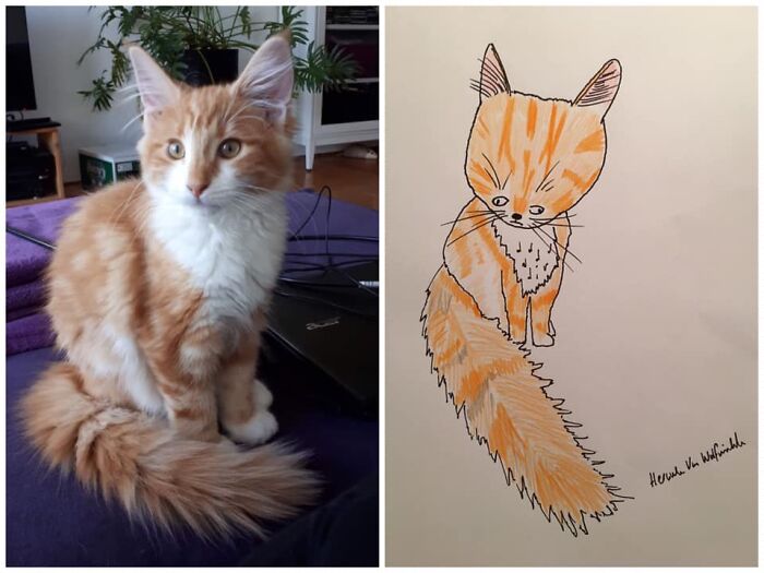 Pet Portraits Charity