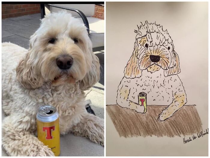 Pet Portraits Charity