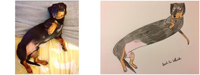 Pet Portraits Charity