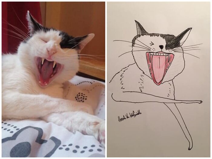 Pet Portraits Charity