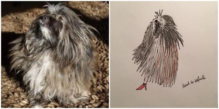 Pet Portraits Charity