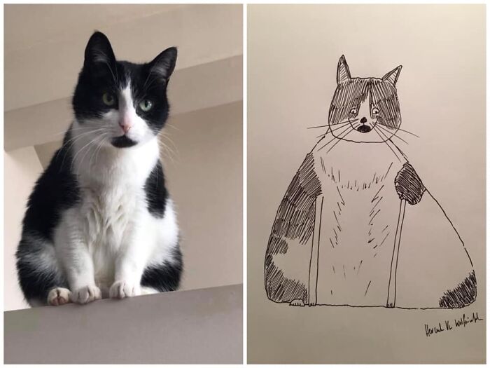 Pet Portraits Charity