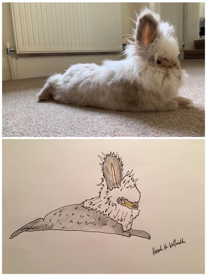 Pet Portraits Charity