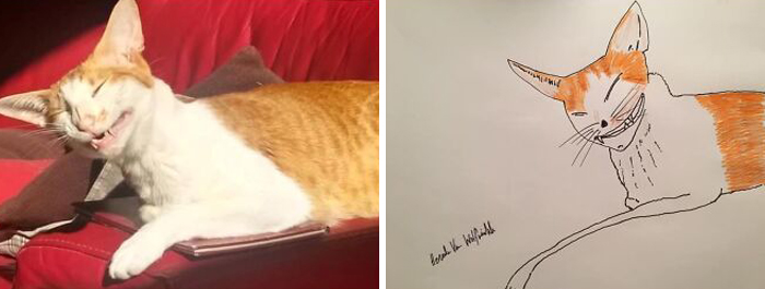 Pet Portraits Charity