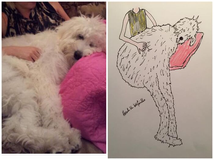 Pet Portraits Charity