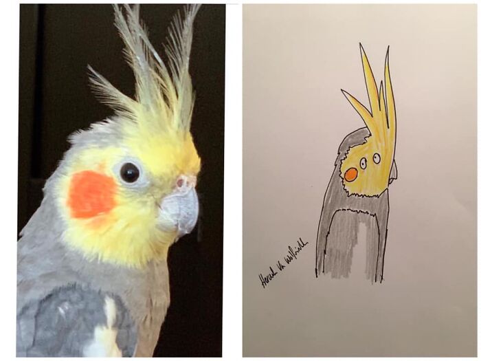 Pet Portraits Charity