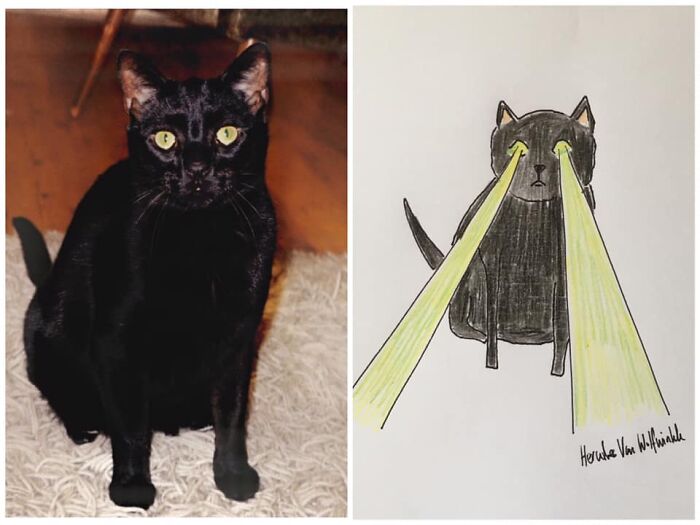 Pet Portraits Charity