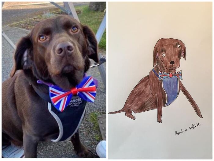 Pet Portraits Charity