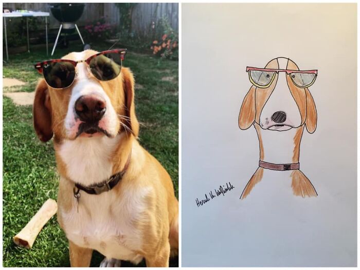 Pet Portraits Charity