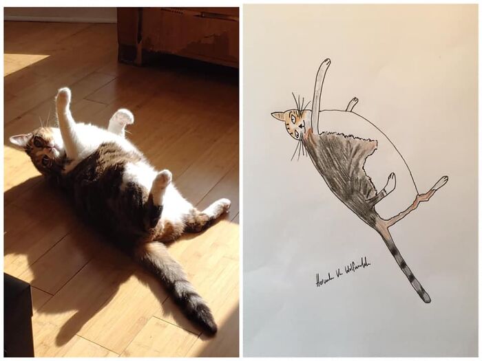 Pet Portraits Charity