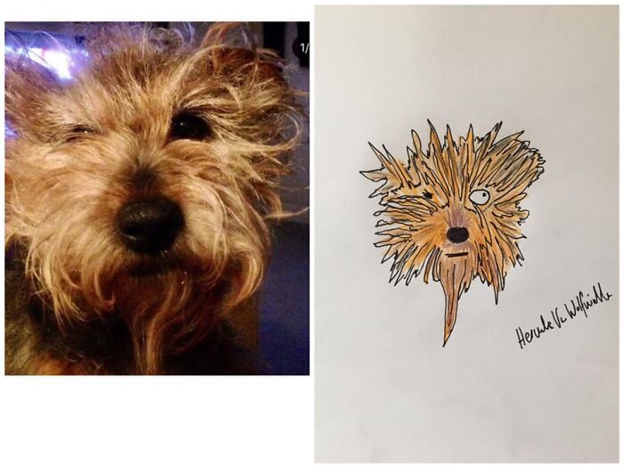 Pet Portraits Charity