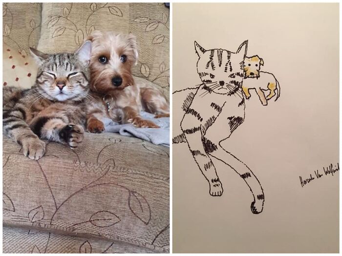 Pet Portraits Charity