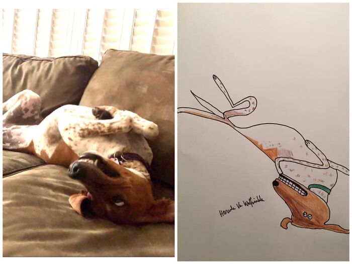 Pet Portraits Charity