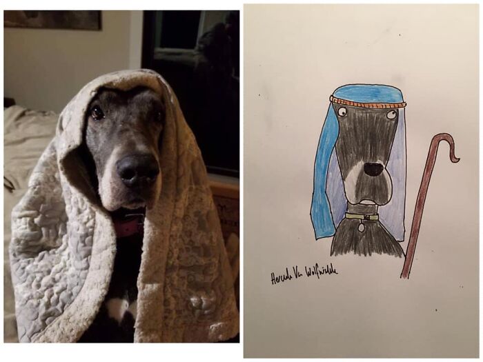 Pet Portraits Charity