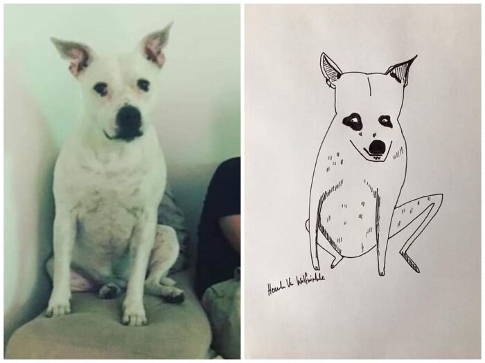 Pet Portraits Charity