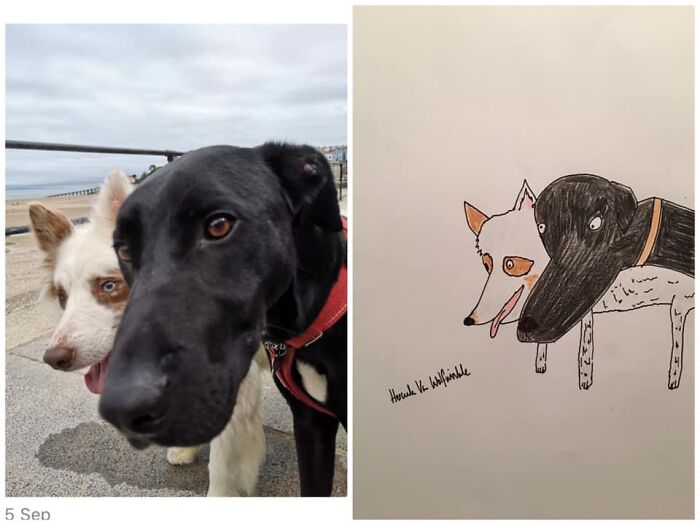 Pet Portraits Charity