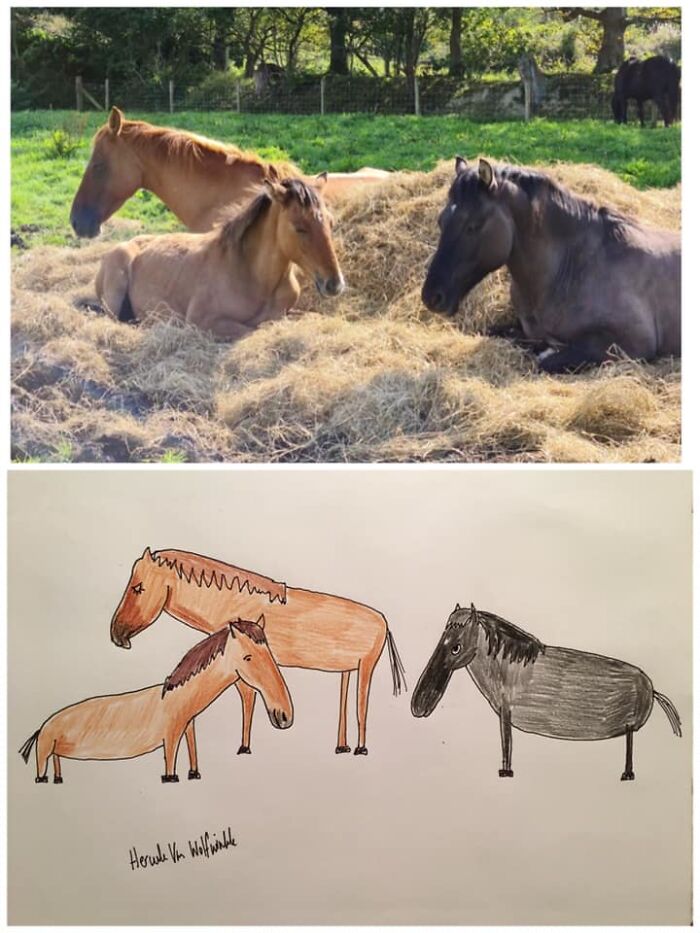 Pet Portraits Charity