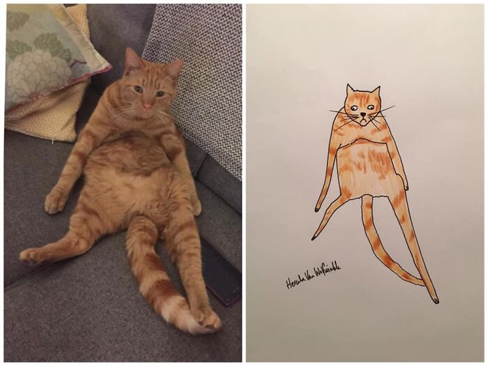 Pet Portraits Charity