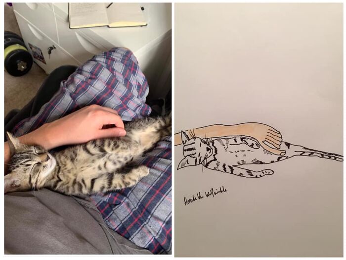 Pet Portraits Charity