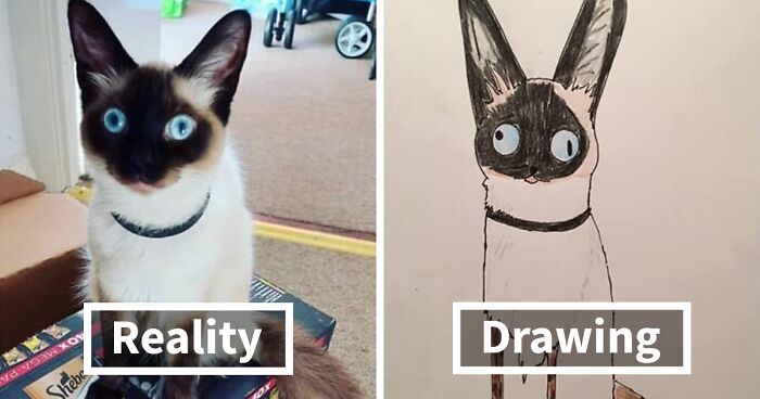 Man Who’s Never Drawn In His Life Does Crappy Pet Portraits For Charity And Raises Over £13.6k (30 New Pics)