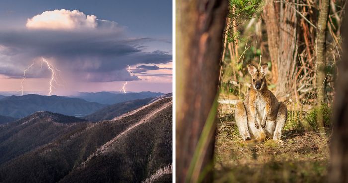 I Traveled Across 45 Different National Parks In Victoria, And Here Are My Favorite Pictures