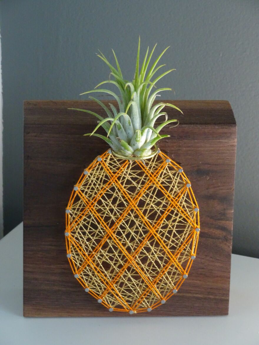 Freaking Adorable Air Plant Holders
