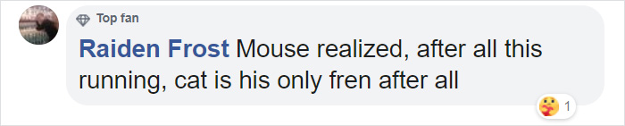 Someone Captures A Real-Life Tom And Jerry: A Mouse Running Up To A Cat To 'Cuddle' After Being Chased Around