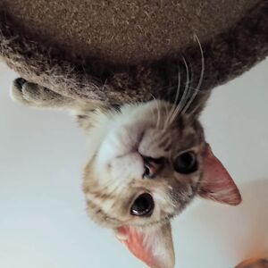 junkmailassassin avatar