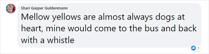 &ldquo;We Saved A Kitten, The Dog Helped Us To Raise Him, And Now The Cat Thinks He&rsquo;s A Dog, And It&rsquo;s Just Adorable&rdquo;