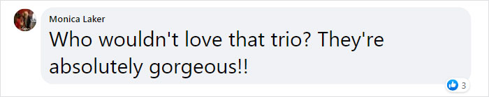 &ldquo;We Saved A Kitten, The Dog Helped Us To Raise Him, And Now The Cat Thinks He&rsquo;s A Dog, And It&rsquo;s Just Adorable&rdquo;