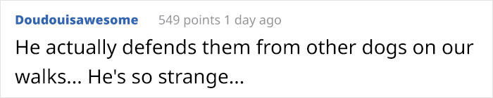 &ldquo;We Saved A Kitten, The Dog Helped Us To Raise Him, And Now The Cat Thinks He&rsquo;s A Dog, And It&rsquo;s Just Adorable&rdquo;