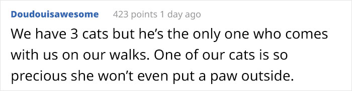&ldquo;We Saved A Kitten, The Dog Helped Us To Raise Him, And Now The Cat Thinks He&rsquo;s A Dog, And It&rsquo;s Just Adorable&rdquo;