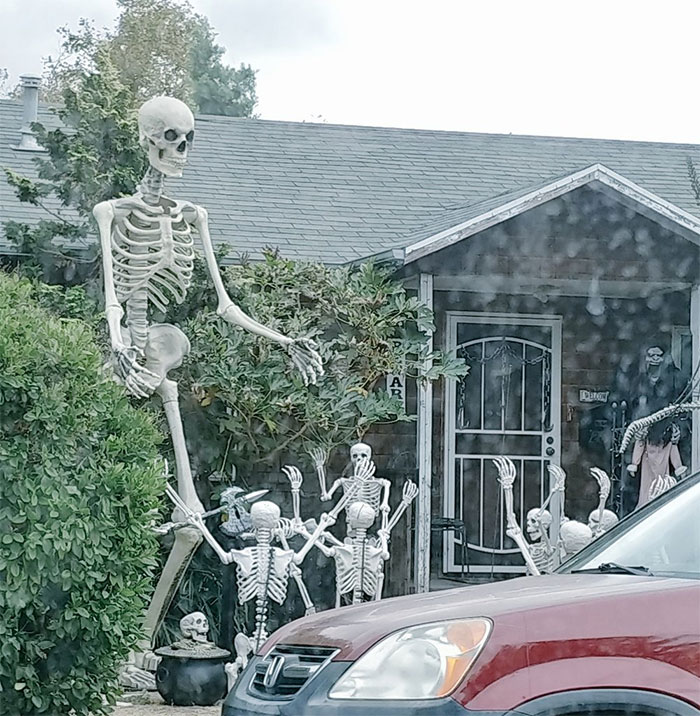 Saw A Good Halloween Yard Today