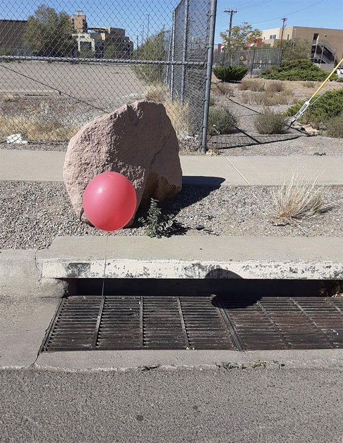 Found This Walking Around My Neighborhood