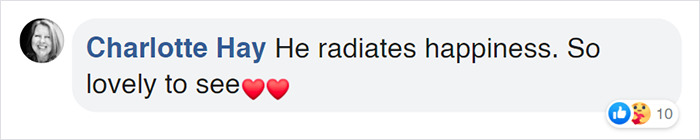 Seal Gets Surprised With A Giant Ice Fish Cake On His 31st Birthday Seal Gets Surprised With A Giant Ice Fish Cake On His 31st Birthday