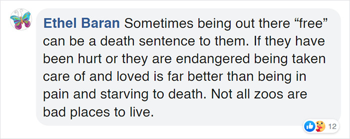 Seal Gets Surprised With A Giant Ice Fish Cake On His 31st Birthday Seal Gets Surprised With A Giant Ice Fish Cake On His 31st Birthday