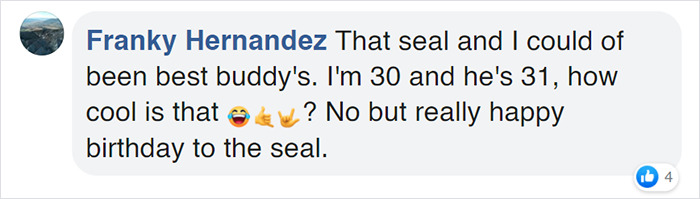 Seal Gets Surprised With A Giant Ice Fish Cake On His 31st Birthday Seal Gets Surprised With A Giant Ice Fish Cake On His 31st Birthday
