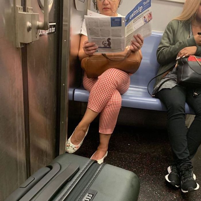 Interesting Reads For Your Commute