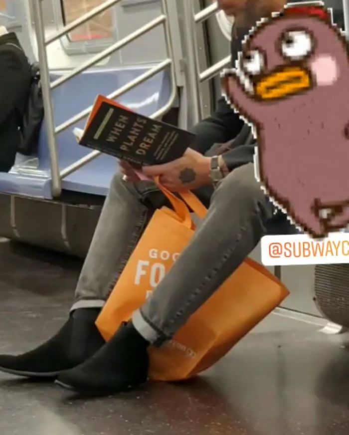 Interesting Reads For Your Commute