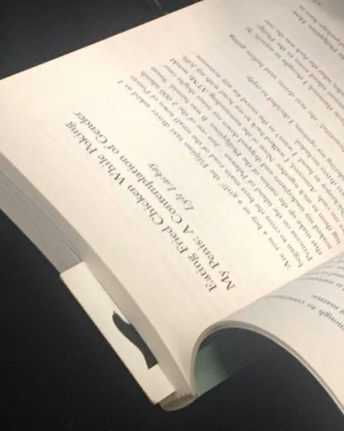 Interesting Reads For Your Commute