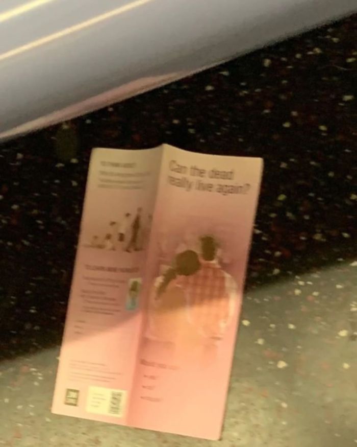 Interesting Reads For Your Commute