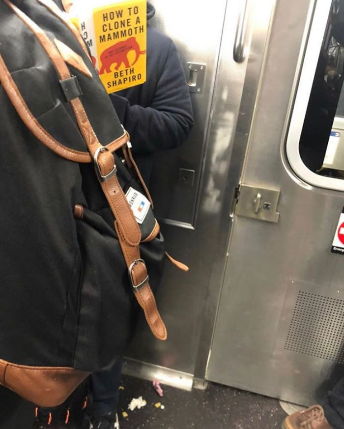 Interesting Reads For Your Commute