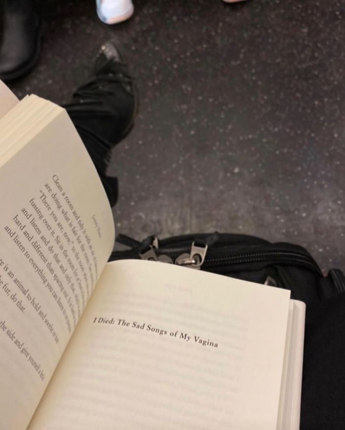 Interesting Reads For Your Commute