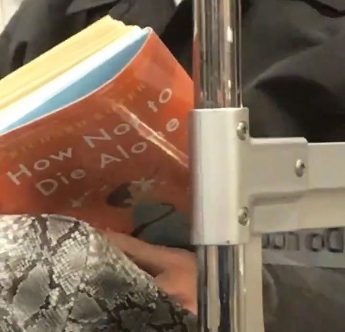 Interesting Reads For Your Commute